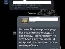 Учитель гимназии Оренбурга извинилась за выложенное в родительском чате видео