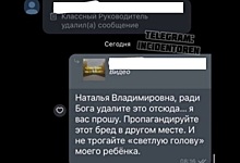 Учитель гимназии Оренбурга извинилась за выложенное в родительском чате видео