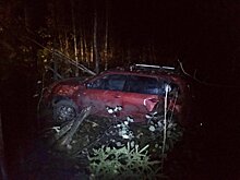 В Прионежском районе ночью иномарка вылетела в кювет