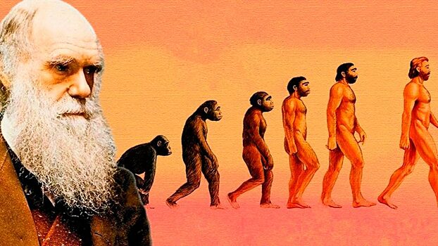 В США открыт недостающий в теории Дарвина закон эволюции