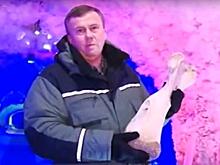 Премьера на НТВ. Хотите жить долго? Ищите полюс холода