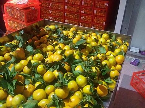 Забайкалье резко увеличило импорт цитрусов из Китая