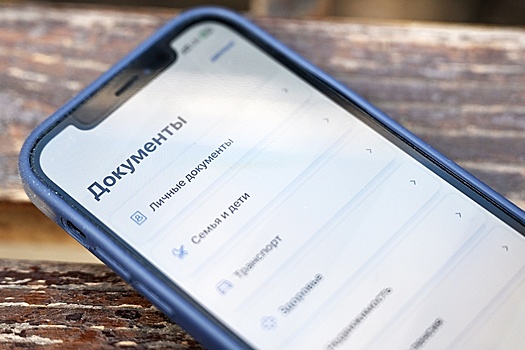 К концу года на Госуслугах можно будет быстро решить уже 70 жизненных ситуаций