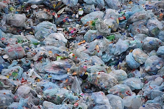 «Обросли мусором». Жители Каргапольского района пожаловались в прокуратуру на незаконные свалки