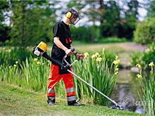 Трава у дома: в Подмосковье штрафуют за лишние сантиметры