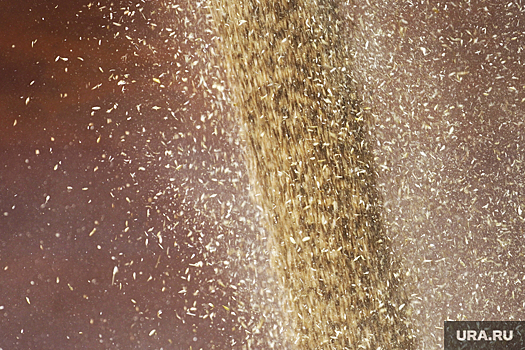 Россия вернулась в пятерку крупнейших поставщиков зерна в ЕС