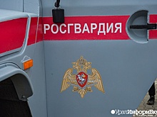 Несколько генералов уволились из Росгвардии