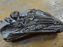 Выяснилось: город Инза Ульяновской области - ровесник египетских пирамид