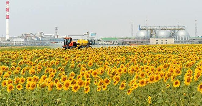 Удобрения «ФосАгро» получили экомаркировку «Листок жизни»