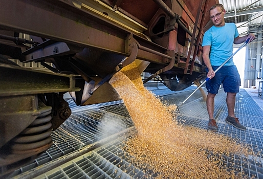 Что будет, если зерновая сделка возобновится без участия России – отвечает политолог