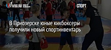 В Приозерске юные кикбоксеры получили новый спортинвентарь