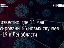 Стало известно, где 11 мая зафиксированы 66 новых случаев COVID-19 в Ленобласти