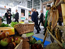 Мишустин: Агропром России вырос за 10 лет более чем на 50 процентов