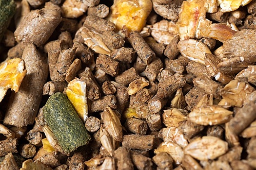 Минсельхоз объявил список ферментов и кормовых добавок для господдержки