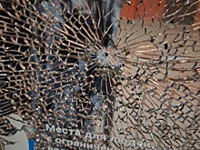 Водитель троллейбуса обезвредил вооруженных хулиганов