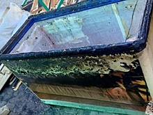 В Волгоградской области произошел пожар из-за замыкания в морозильной камере