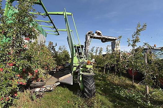 В России расширили список получателей сельхозтехники в лизинг