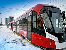 В Перми выпустили партию новых трамваев на 11-й маршрут