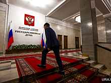 ГД предлагает ввести бесплатную дистанционную юрпомощь россиянам