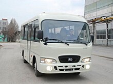 Нижегородка получила травму в резко затормозившей маршрутке
