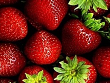 В районе Старое Крюково работает "клубничная точка"