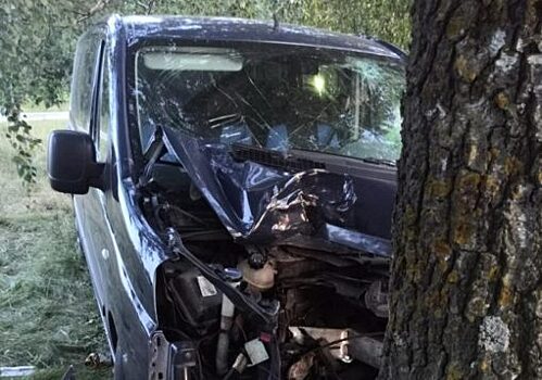 Под Орлом «Фиат Скудо» протаранил дерево