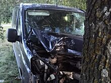 Под Орлом «Фиат Скудо» протаранил дерево