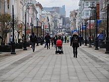 Нижегородские депутаты отклонили законопроект об увеличении маткапитала