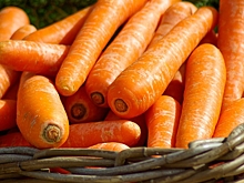 Сезонная универсальная ярмарка пройдет в Ростове на улице Туполева 30 августа 2025 г.