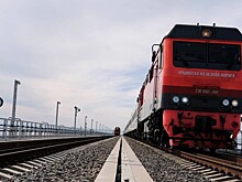 РЖД сделают обязательным оформление билета для всех животных