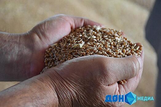 Более 550 тысяч тонн зерна вывезли за месяц из Ростовской области