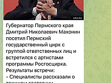 Пермский замминистра Марданов приехал с проверкой в цирк после ЧП с избиения дрессировщика