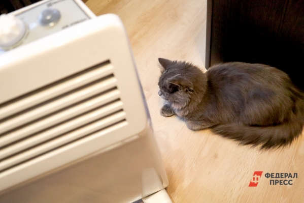 Власти Перми рассказали, когда в домах жителей отключат отопление