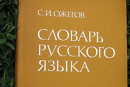 Лингвист Кронгауз: в следующем году слово "чиназес" мы уже не услышим