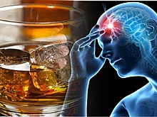 Ученые доказали, что алкоголь в малых дозах не влияет на когнитивные функции