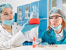 Исследование РАН: престиж профессии ученого вырос до 67%