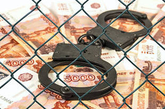 Законопроект об уголовном наказании для "решал" внесен в Госдуму