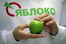 Новосибирское «Яблоко» против решения федерального руководства о выходе из предвыборной коалиции