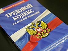 Новый законопроект о занятости внесут в осеннюю сессию Госдумы