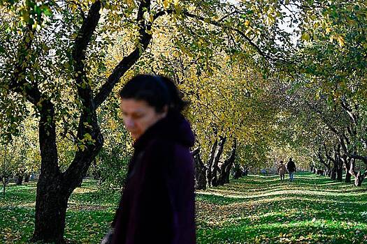 На юге Москвы появился новый парк