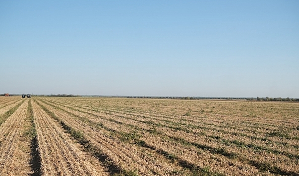 В Волгоградской области введут двойной контроль за сельхозземлями