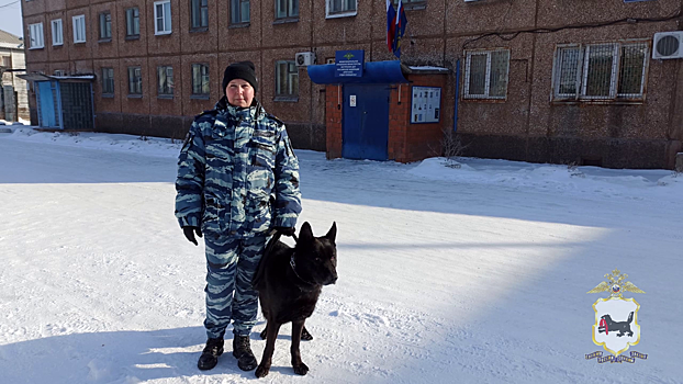 Кражу из дачи в Иркутской области помогла раскрыть полиции служебная собака по кличке Гефест