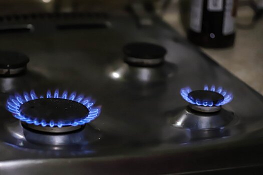 В Долгопрудном двое маленьких детей отравились газом