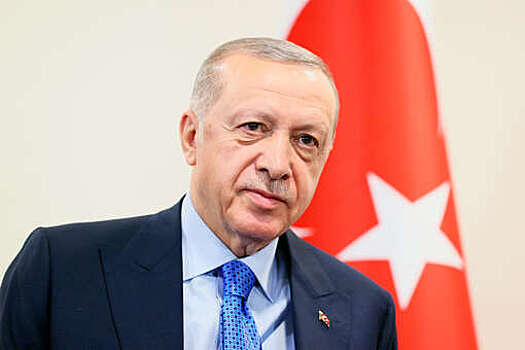 Эрдоган заявил, что выборы в Турции завершились "подобающим турецкой демократии" образом
