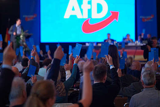 В ФРГ прошли митинги против партии "Альтернатива для Германии"
