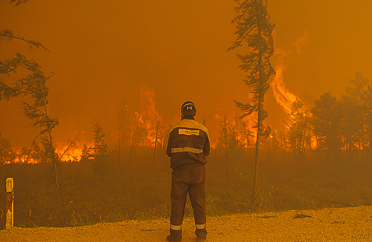 В чем причины рекордных лесных пожаров?