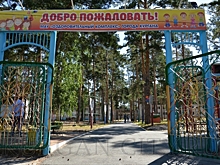 Загородные лагеря в Курганской области готовят к открытию