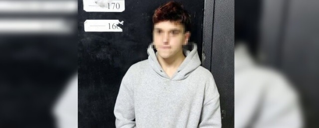 В Волгограде 21-летний парень бейсбольной битой нанес тяжелые травмы своей матери