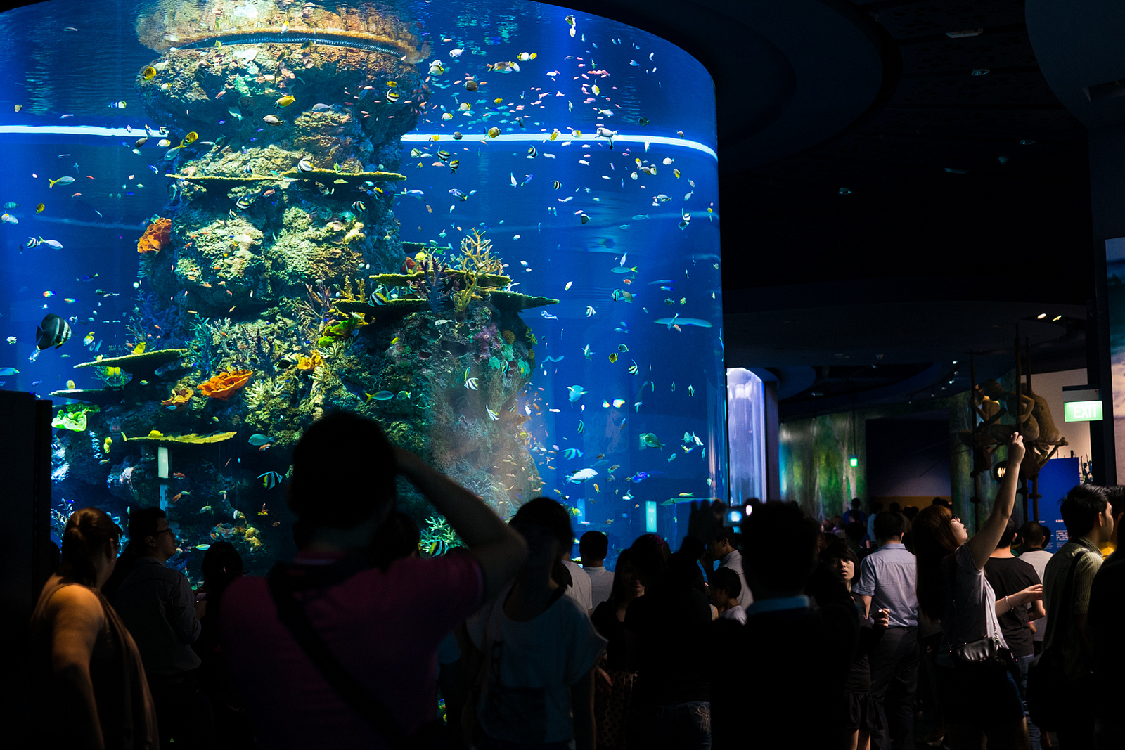 Аквариум на острове Сентоза, Остров Сентоза, Сингапур, Азия