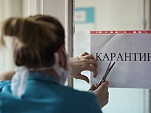 Животное с бешенством стало причиной карантина под Волгоградом